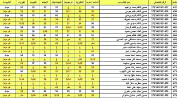 برقمك الامتحاني.. رابط الاستعلام عن نتائج السادس الاعدادي 2025 الدور الثاني 1